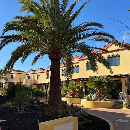 Apartamento Premium - New Tropical Casa Oasis - Fast Wi-fi !! Swimming Pool !! Tv *