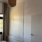 Premium - New Tropical Casa Oasis - Fast Wi-fi !! Swimming Pool !! Tv *