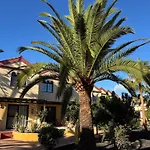 Premium - New Tropical Casa Oasis - Fast Wi-fi !! Swimming Pool !! Tv