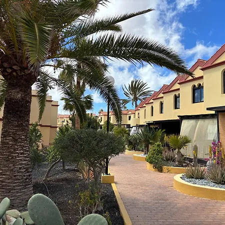 Premium - New Tropical Casa Oasis - Fast Wi-fi !! Swimming Pool !! Tv * Costa Calma