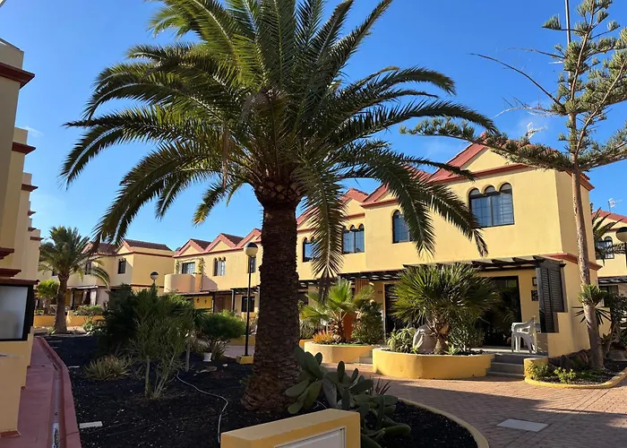 Lägenhet Premium - New Tropical Casa Oasis - Fast Wi-fi !! Swimming Pool !! Tv *