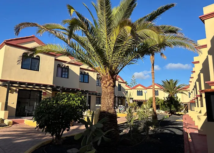 Premium - New Tropical Casa Oasis - Fast Wi-fi !! Swimming Pool !! Tv *