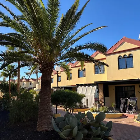 Premium - New Tropical Casa Oasis - Fast Wi-fi !! Swimming Pool !! Tv *