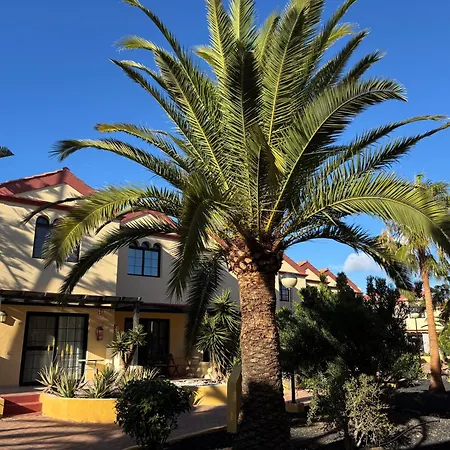 Premium - New Tropical Casa Oasis - Fast Wi-fi !! Swimming Pool !! Tv