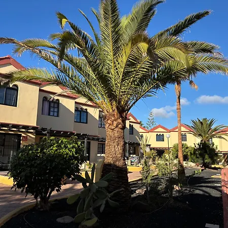 Premium - New Tropical Casa Oasis - Fast Wi-fi !! Swimming Pool !! Tv *