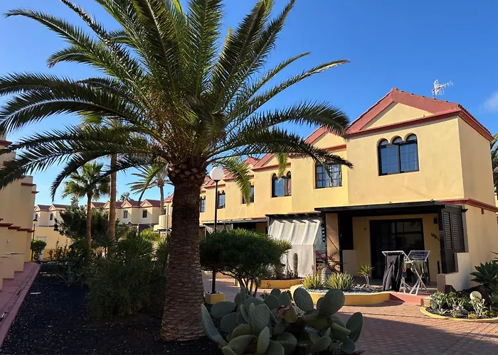 Premium - New Tropical Casa Oasis - Fast Wi-fi !! Swimming Pool !! Tv *