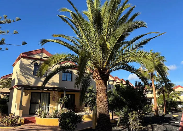 Premium - New Tropical Casa Oasis - Fast Wi-fi !! Swimming Pool !! Tv